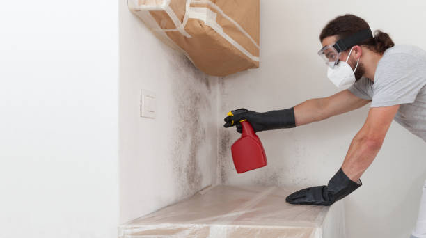 Professional Hvac And Air Duct Mold Remediation technician working in Baldwin, MI