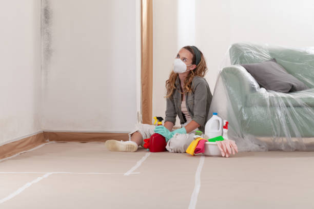 Reliable Hvac And Air Duct Mold Remediation contractor in Baldwin, MI by 24 Hour Mold Removal